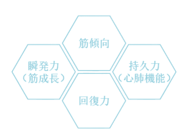 身体的要素の画像