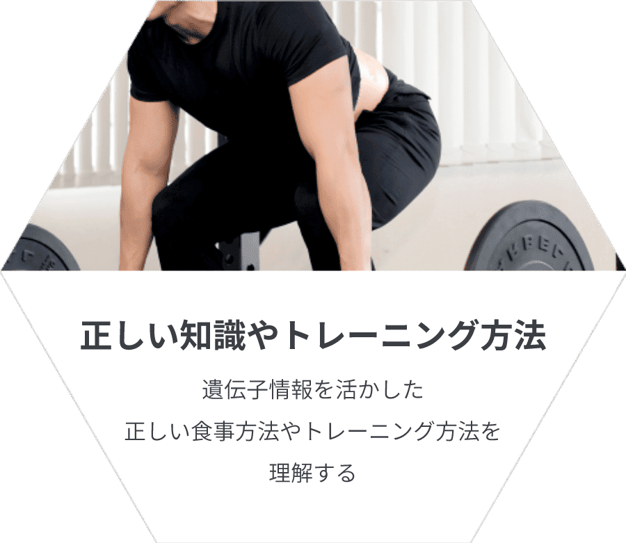 六角形の画像