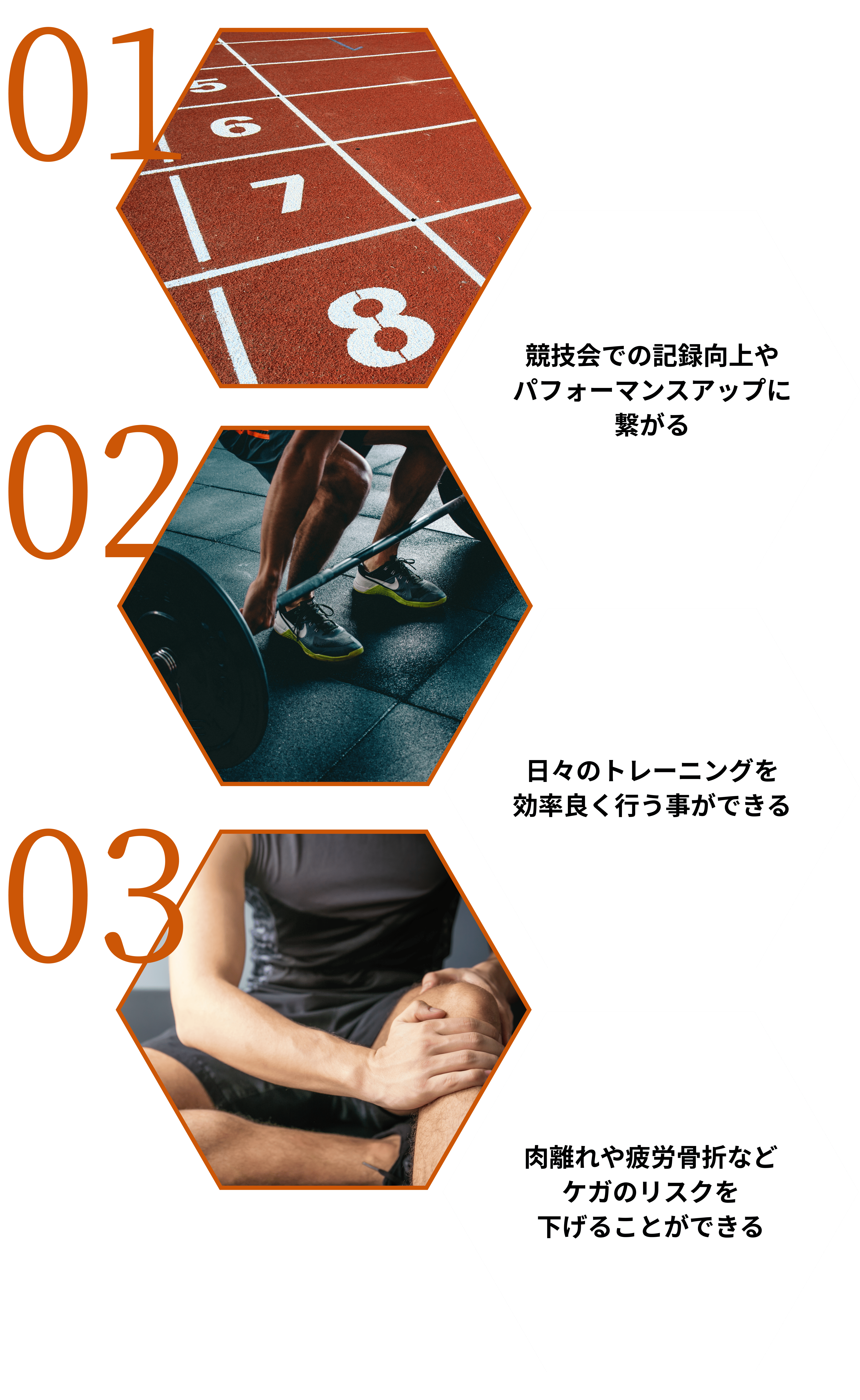 トレーニングの特徴の画像