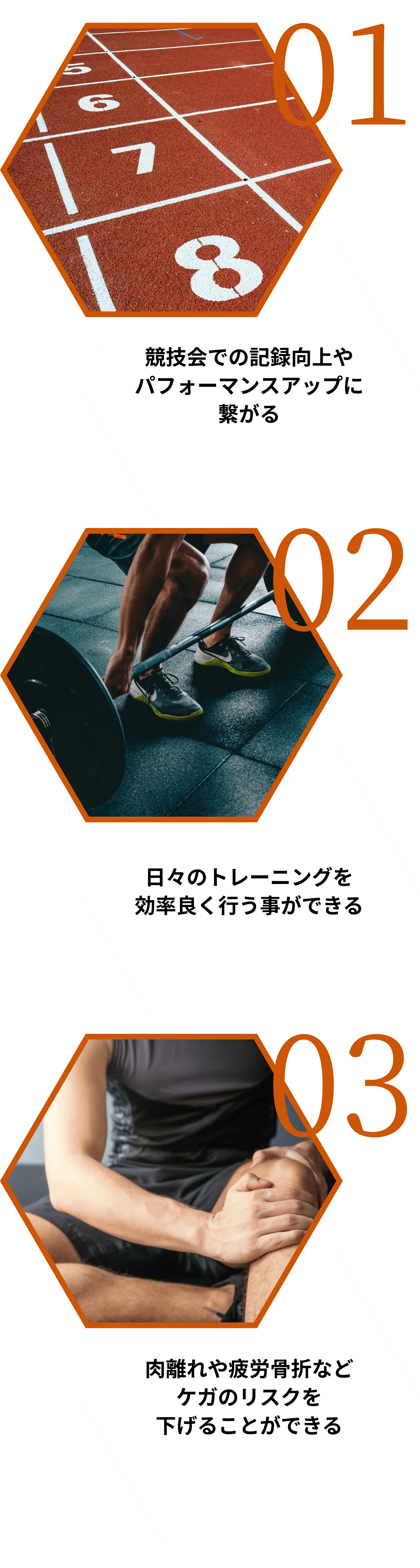 トレーニングの特徴の画像